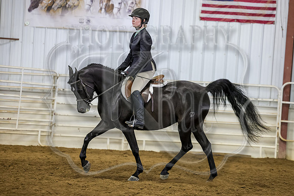 SASS-2918