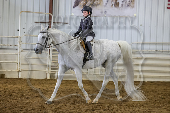 SASS-4161