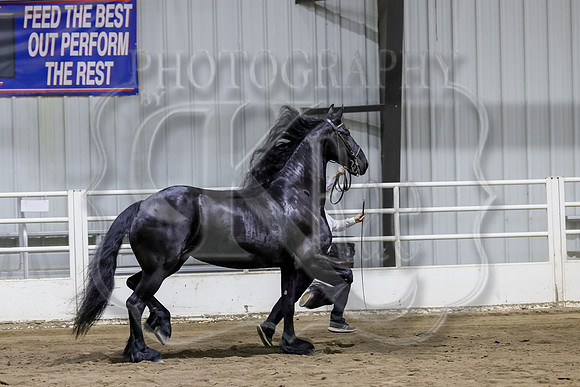 sss-1379