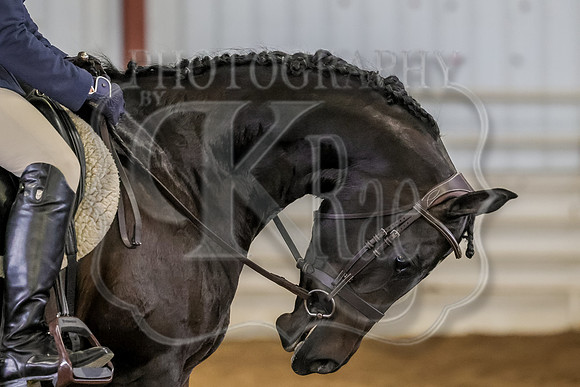 SASS-3734