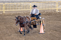 OSB_FallShow-0546