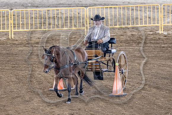 OSB_FallShow-0546