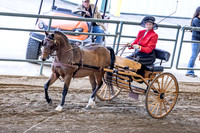 OSB_FallShow-0009