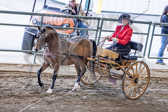 OSB_FallShow-0009