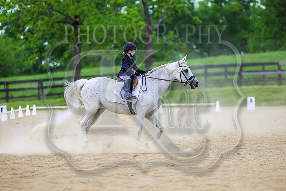 SASS-0537