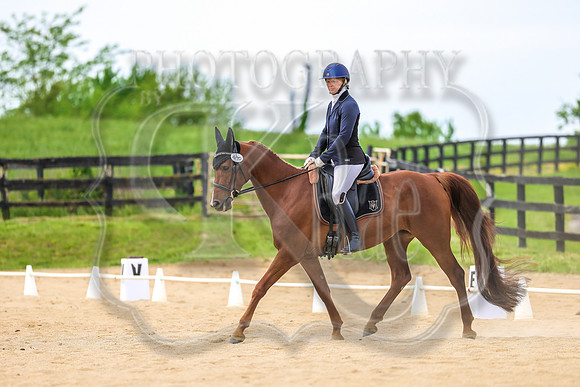 SASS-3306