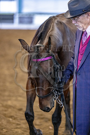 OSB_FallShow-0257