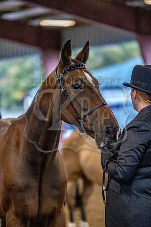 OSB_FallShow-0085