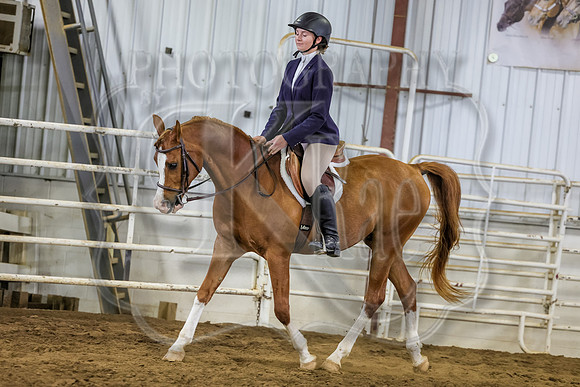 SASS-0823