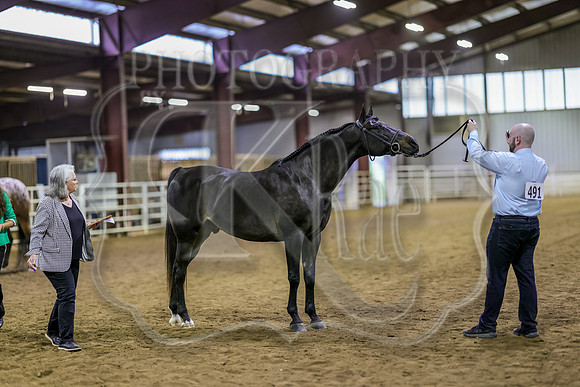 SASS-5347