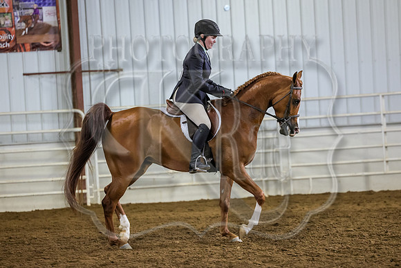 SASS-2702
