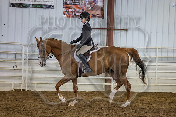 SASS-3804