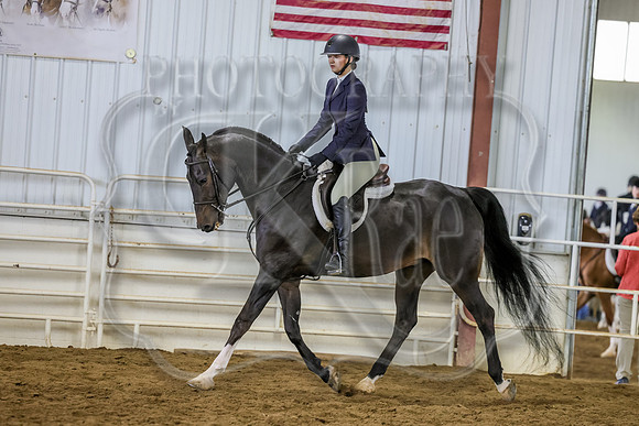 SASS-3841