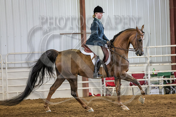 SASS-3348