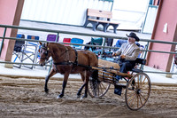 OSB_FallShow-0060