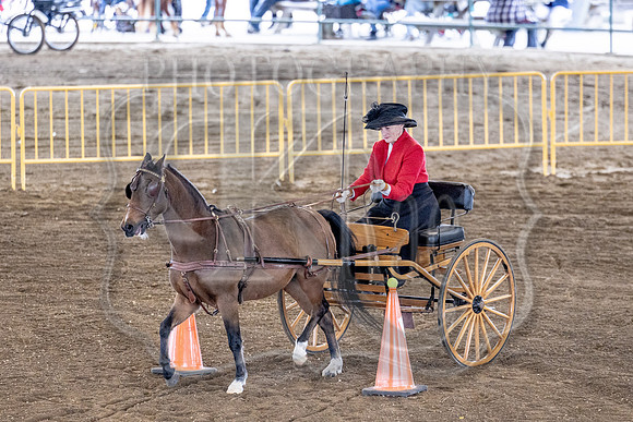 OSB_FallShow-0640
