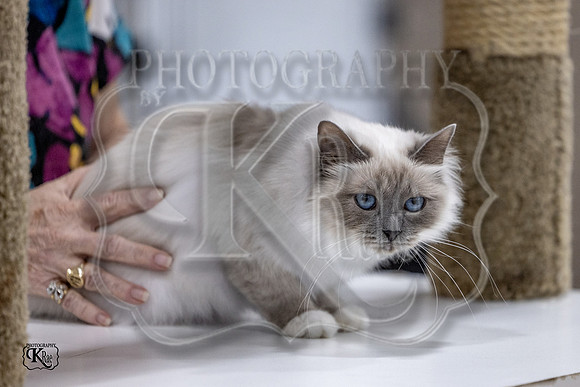 CFA_WLMGTN-0049