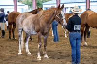OSB_FallShow-0054