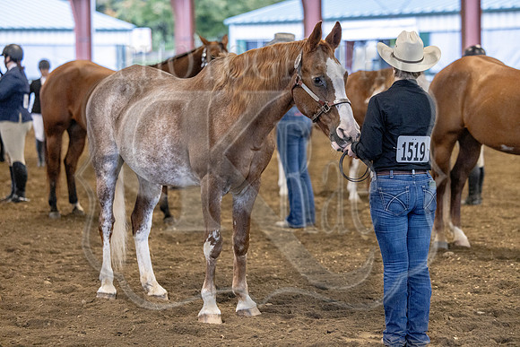 OSB_FallShow-0054