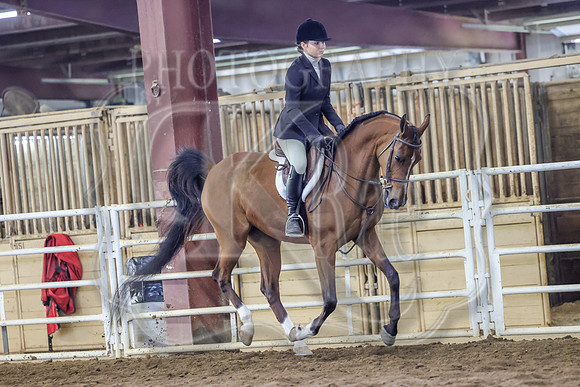 SASS-3207