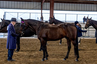 OSB_FallShow-0197
