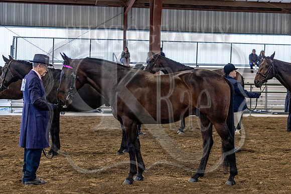 OSB_FallShow-0197