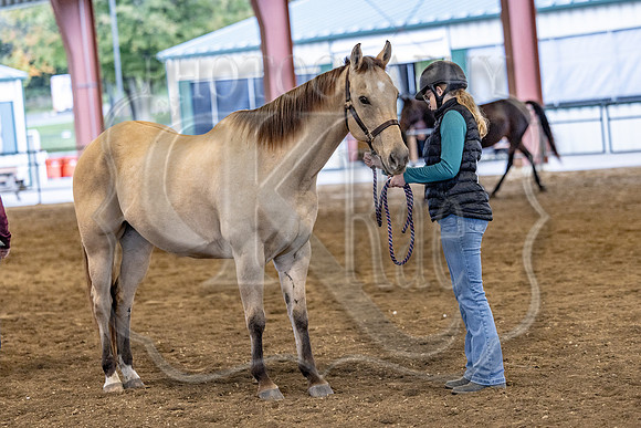 OSB_FallShow-2254