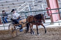 OSB_FallShow-0867