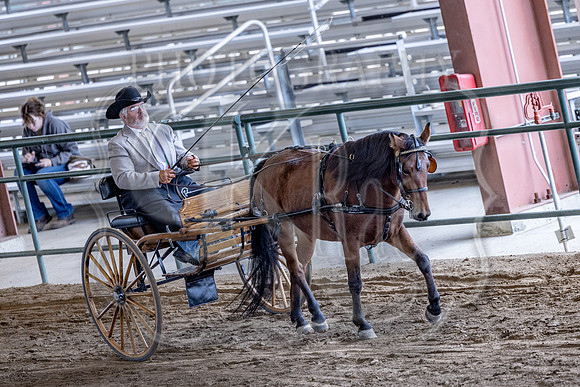 OSB_FallShow-0867