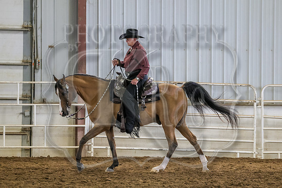 SASS-3587