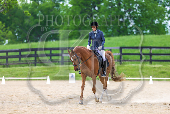 SASS-4499