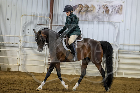 SASS-2938