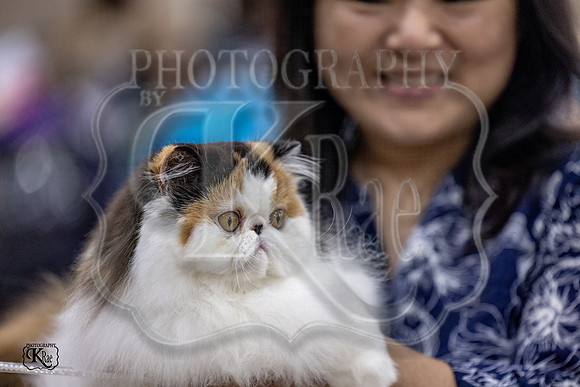 CFA_WLMGTN-0053