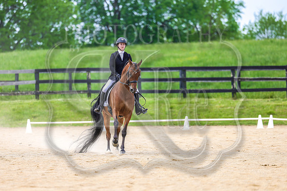 SASS-3602