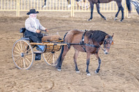 OSB_FallShow-0833