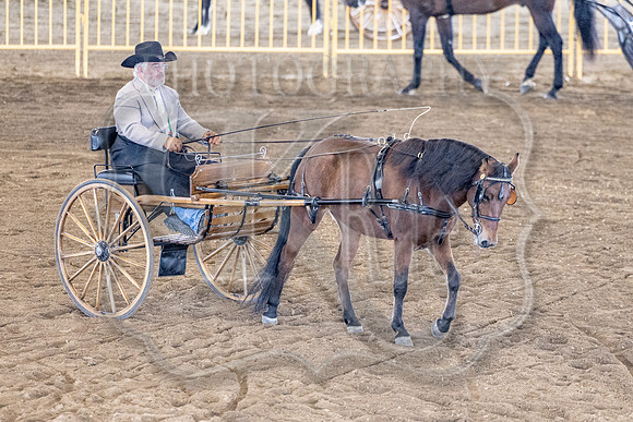 OSB_FallShow-0833