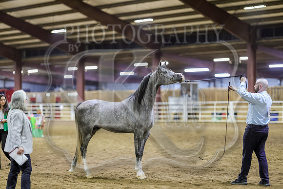 SASS-6355