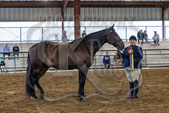 OSB_FallShow-0259