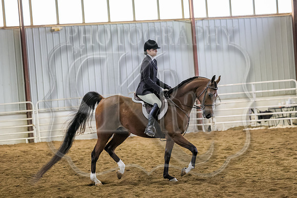 SASS-0699