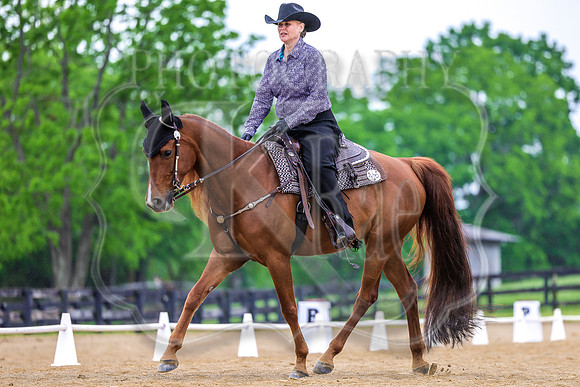 SASS-2965