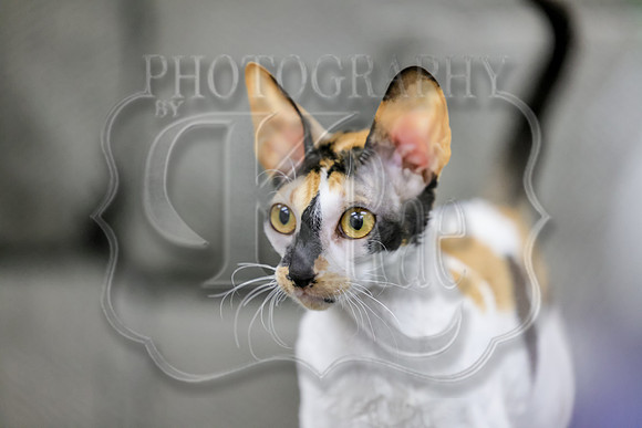 sss-5285