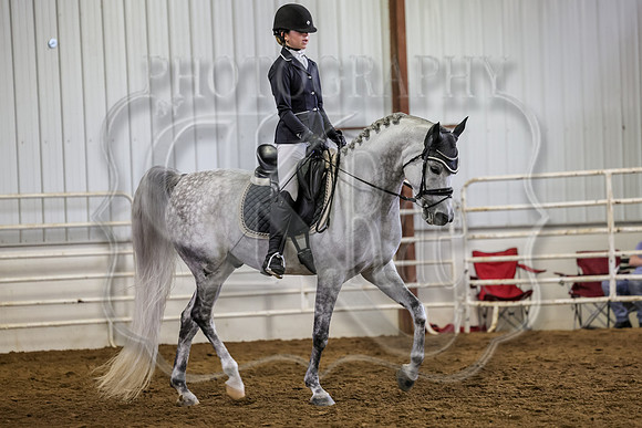 SASS-1033