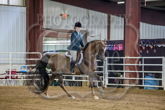 SASS-3002