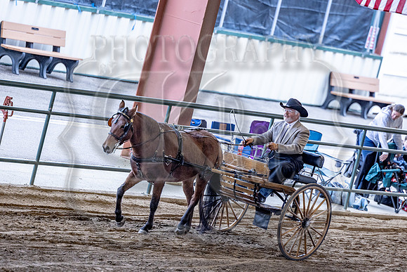 OSB_FallShow-0139