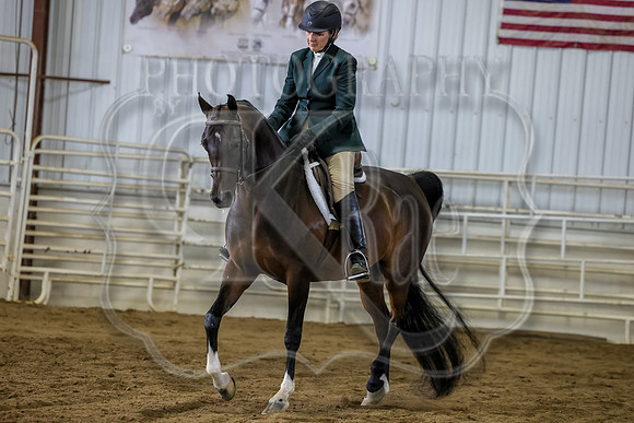 SASS-7620