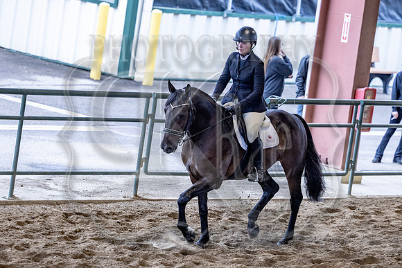 OSB_FallShow-1216