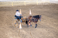 OSB_FallShow-0536