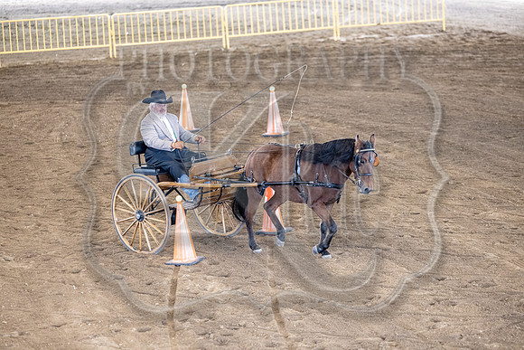 OSB_FallShow-0536
