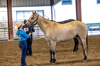 OSB_FallShow-2318