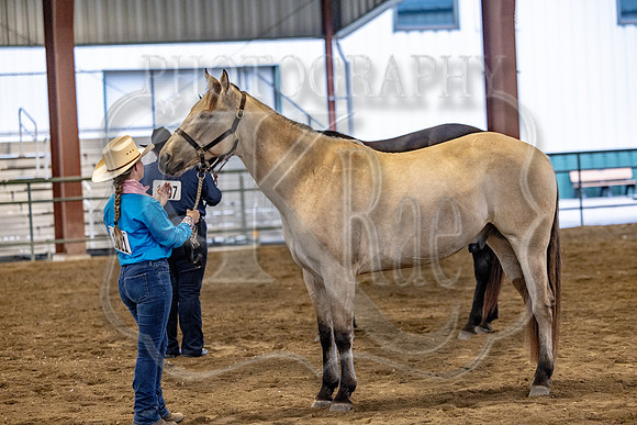 OSB_FallShow-2318